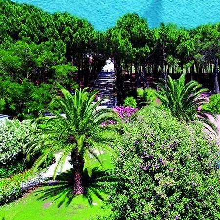 Nicolaus Club Bagamoyo מלון 3*